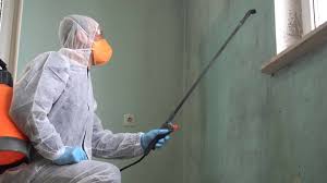 Reliable Manson, WA Mold Removal Solutions